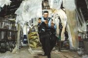 开元体育-奇兵突起破冰，众将火拼战场