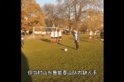 开元棋牌网页版入口地址-广州富力对阵山东鲁能，备战火力全开全力拼搏的简单介绍