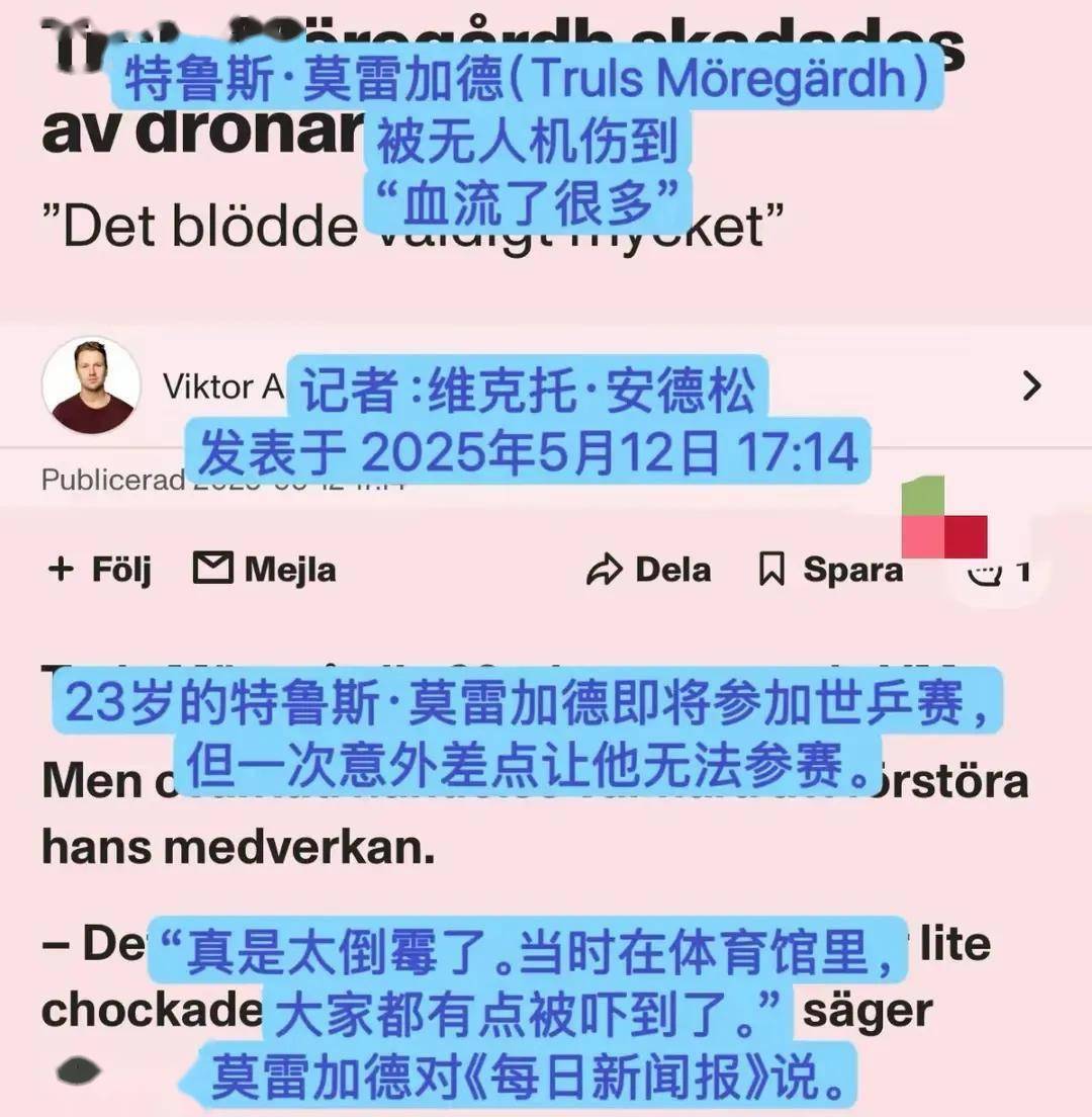 瑞典队意外强势，斯洛伐克势如破竹